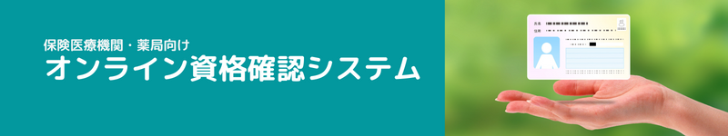 保険医療機関・薬局向けオンライン資格確認システム