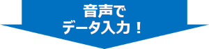 音声でデータ入力